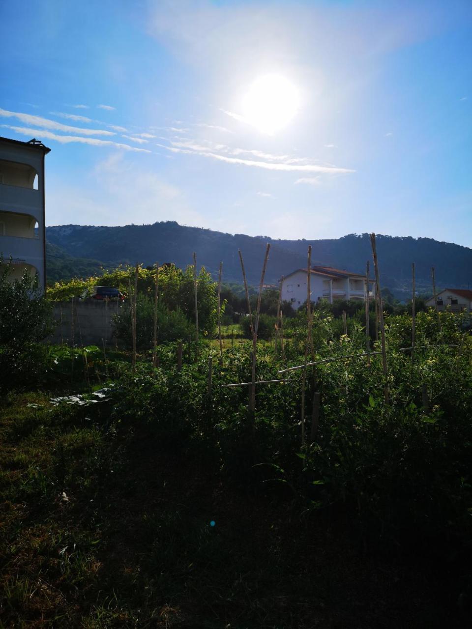 Apartment Zekija Barbat na Rabu Exterior foto